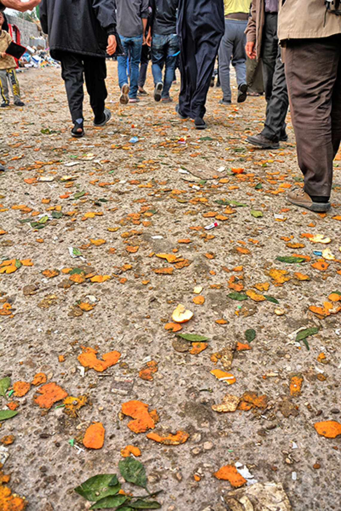 سوگواره سوم-عکس 6- یاسر امیری-پیاده روی اربعین از نجف تا کربلا