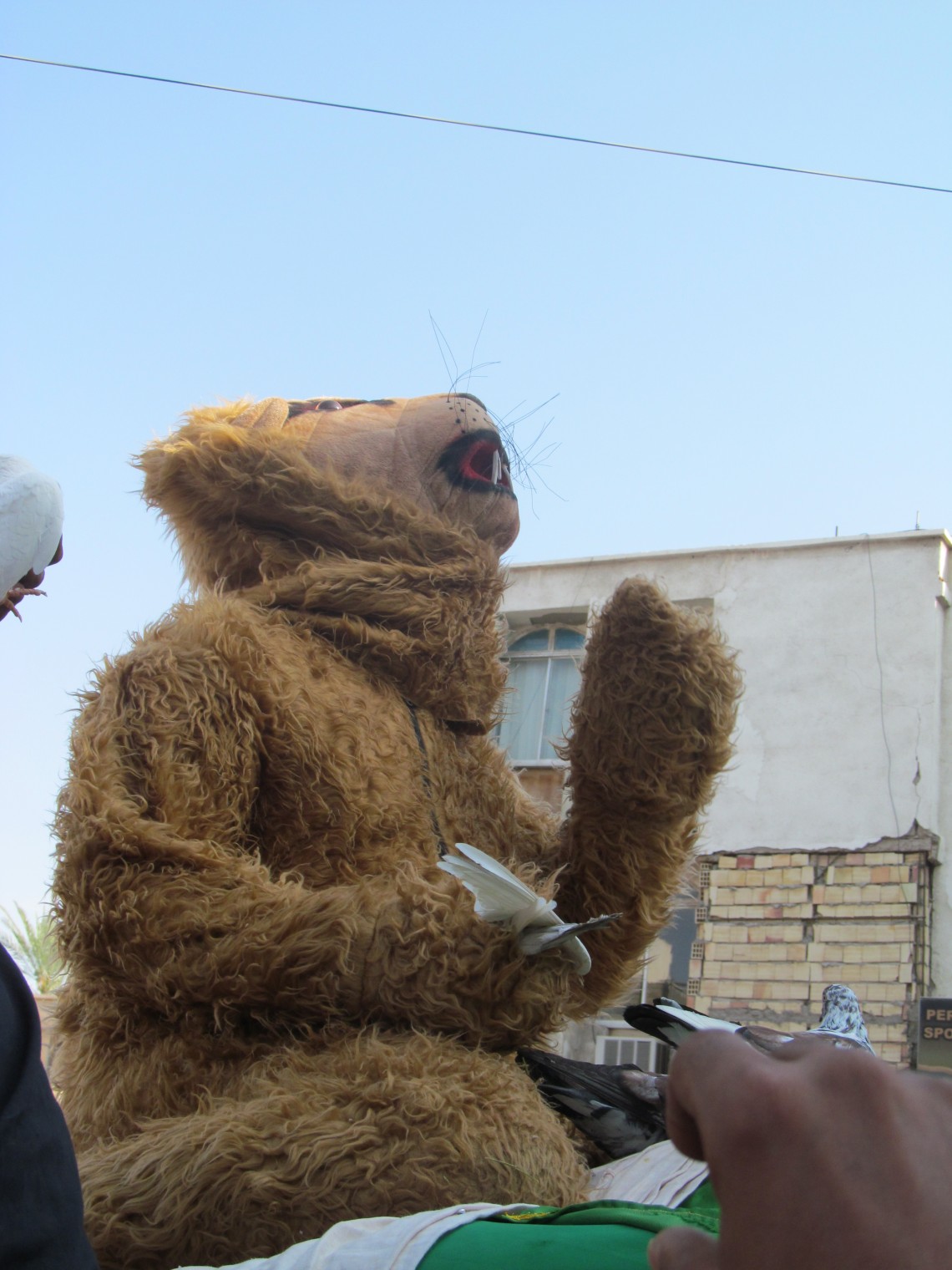 سوگواره چهارم-عکس 12-علی سپهریان-آیین های عزاداری