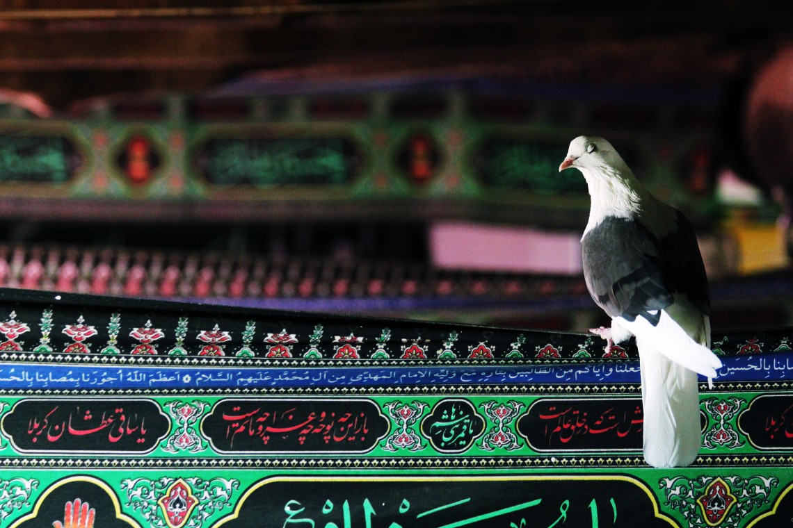 سوگواره پنجم-عکس 1-آمنه جباری نیک-جلسه هیأت