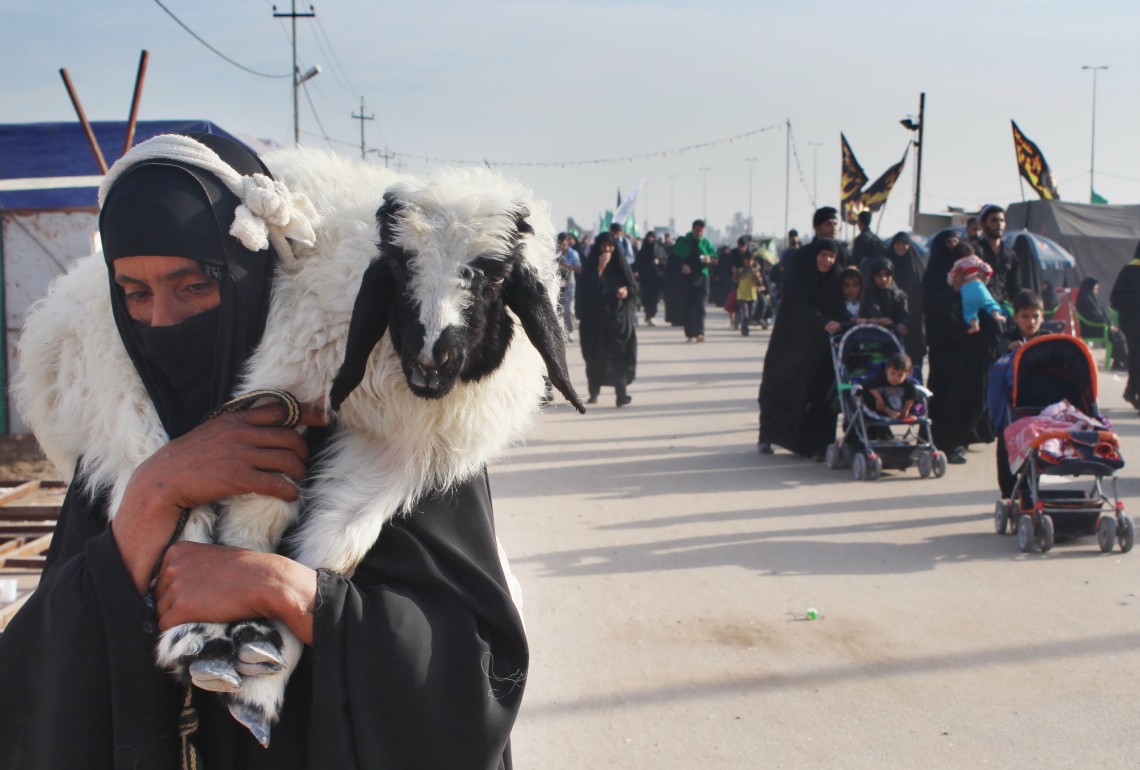 سوگواره سوم-عکس 5-محمد  آهنگر-پیاده روی اربعین از نجف تا کربلا