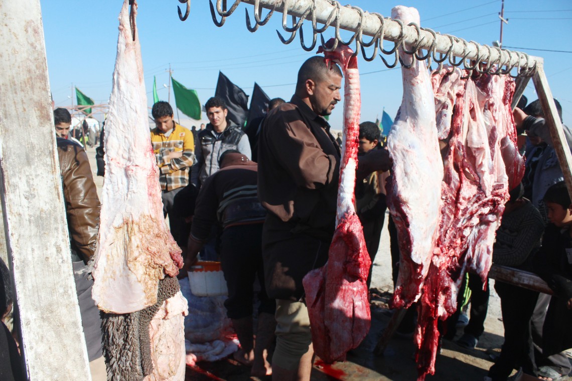 سوگواره دوم-عکس 12-محمد  آهنگر-پیاده روی اربعین از نجف تا کربلا