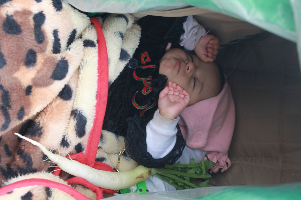 سوگواره سوم-عکس 36-زینب شریعتمدار-پیاده روی اربعین از نجف تا کربلا