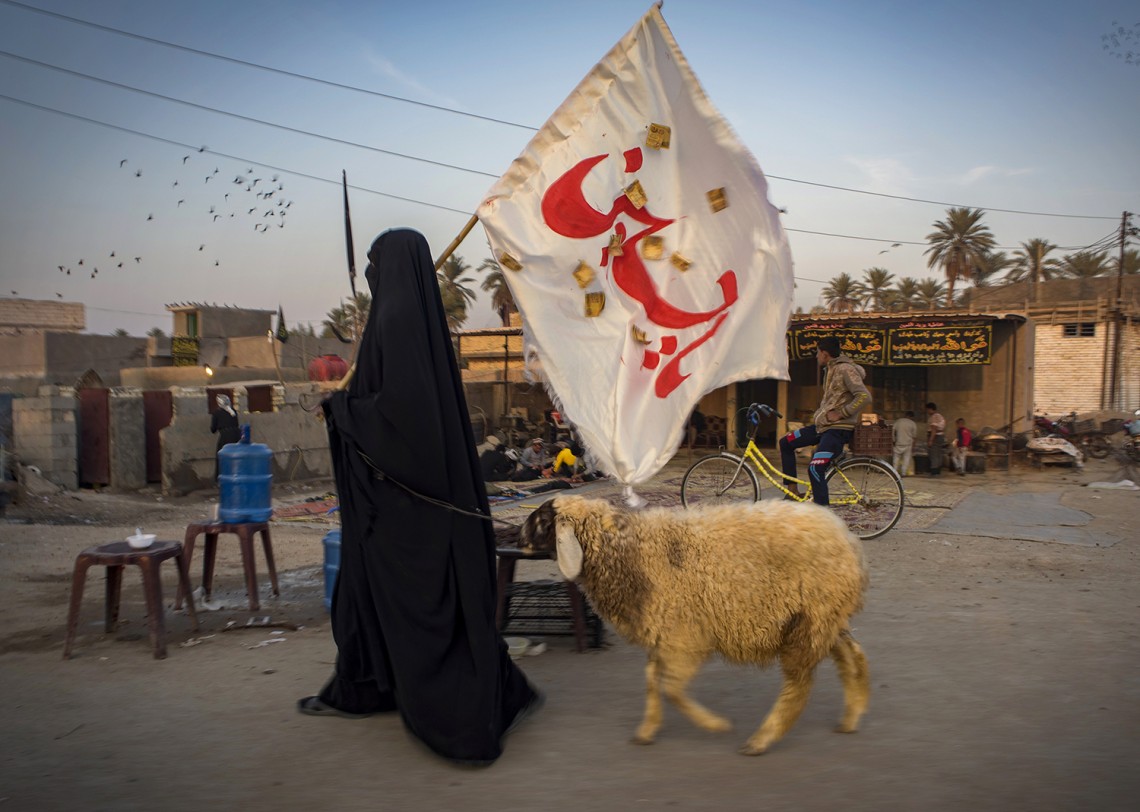 سوگواره چهارم-عکس 20-سید ولی  شجاعی لنگری-پیاده روی اربعین از نجف تا کربلا