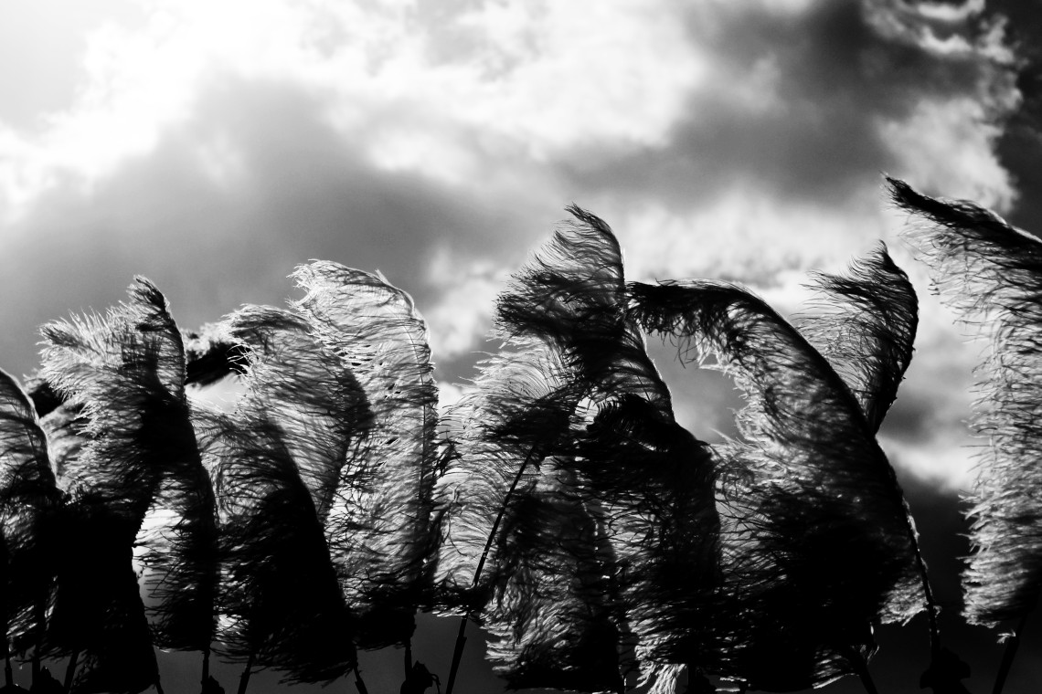 سوگواره اول-عکس 10-محمد جواد پژوهنده-جلسه هیأت