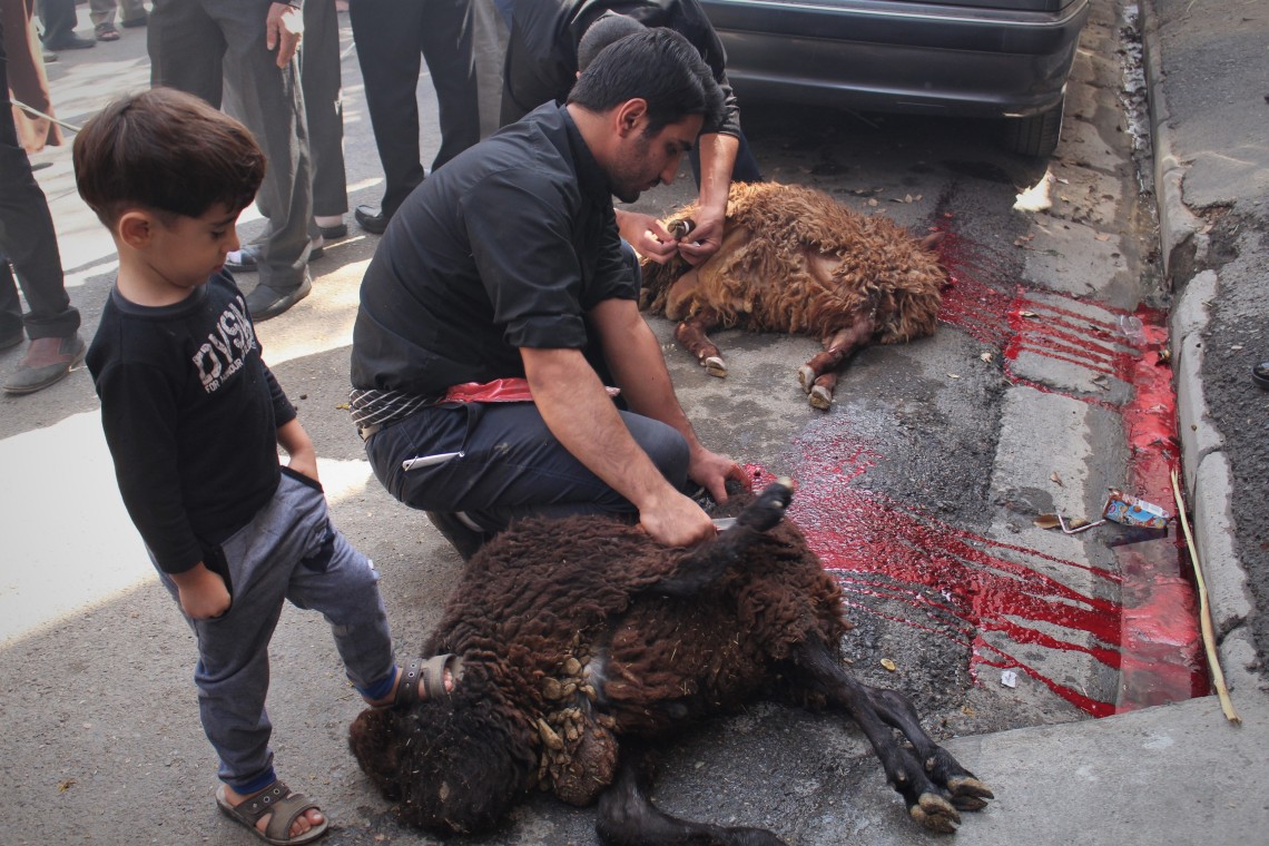 فراخوان ششمین سوگواره عاشورایی عکس هیأت-حسین دیواندری-بخش اصلی -جلسه هیأت