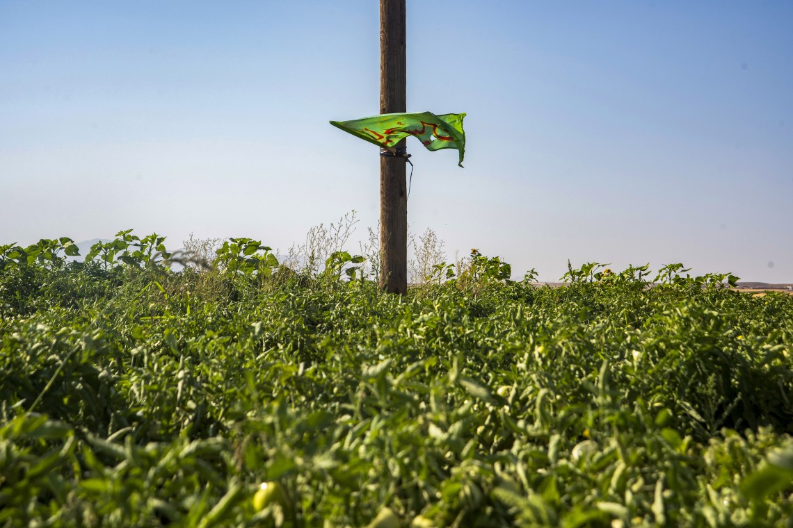 نهمین سوگواره عاشورایی عکس هیأت-کیوان جعفری-روایت هیأت