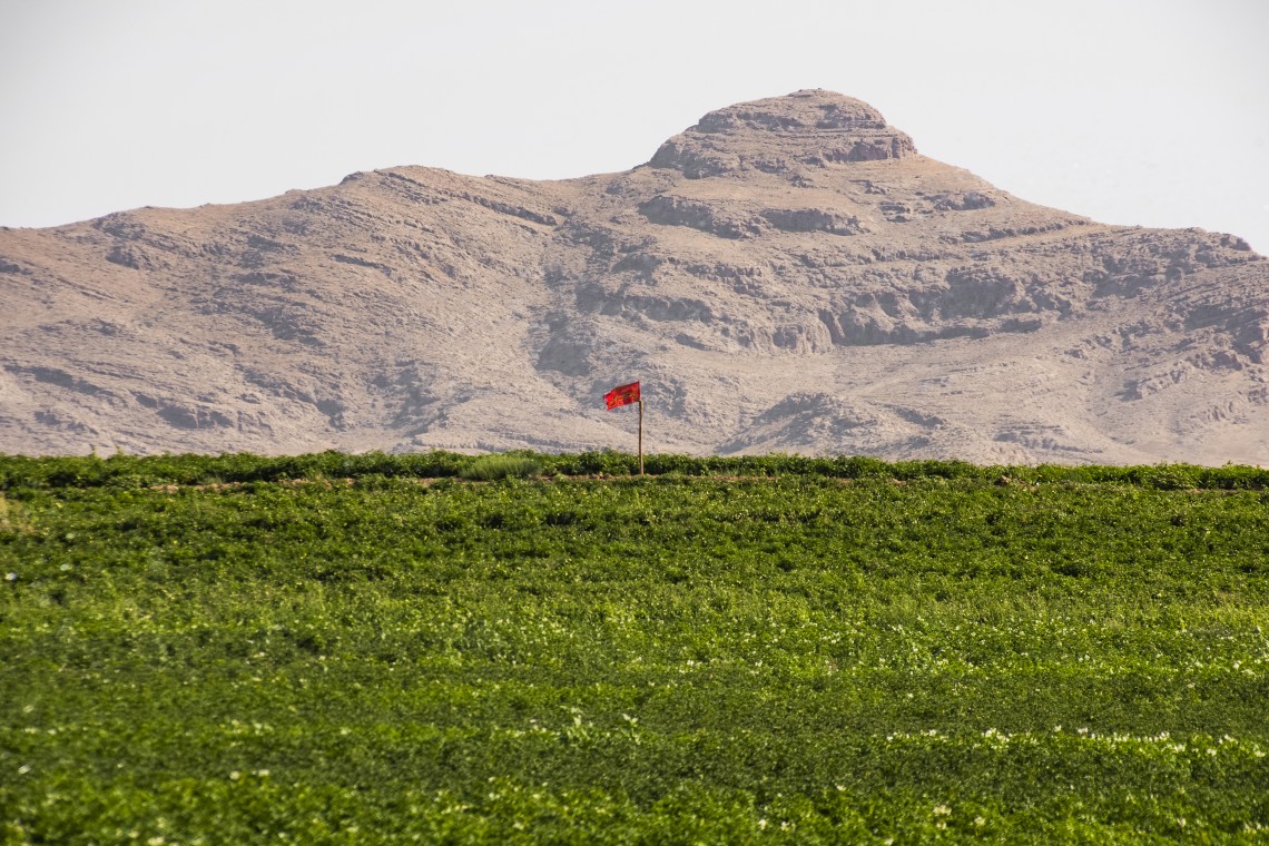 نهمین سوگواره عاشورایی عکس هیأت-کیوان جعفری-روایت هیأت