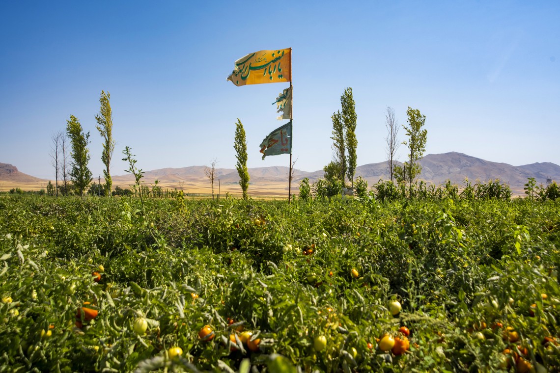 نهمین سوگواره عاشورایی عکس هیأت-کیوان جعفری-روایت هیأت