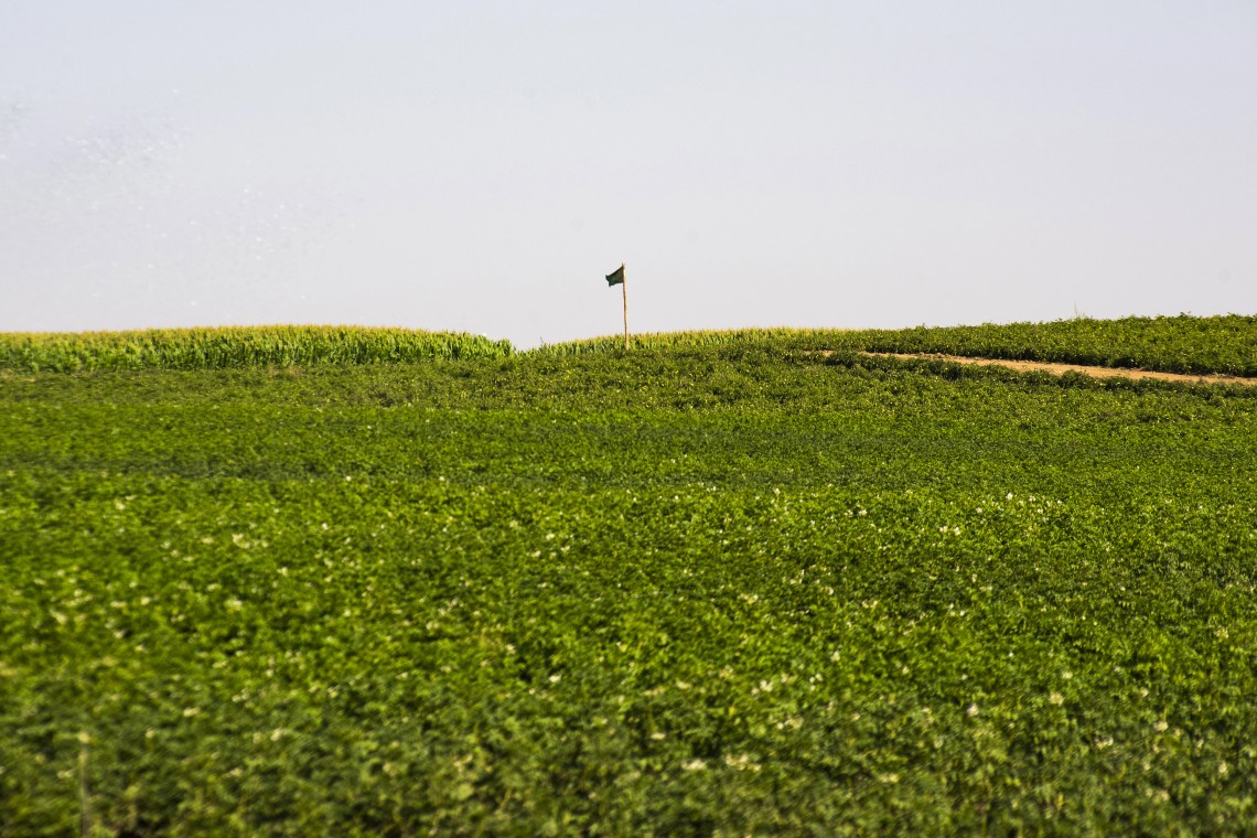 نهمین سوگواره عاشورایی عکس هیأت-کیوان جعفری-روایت هیأت