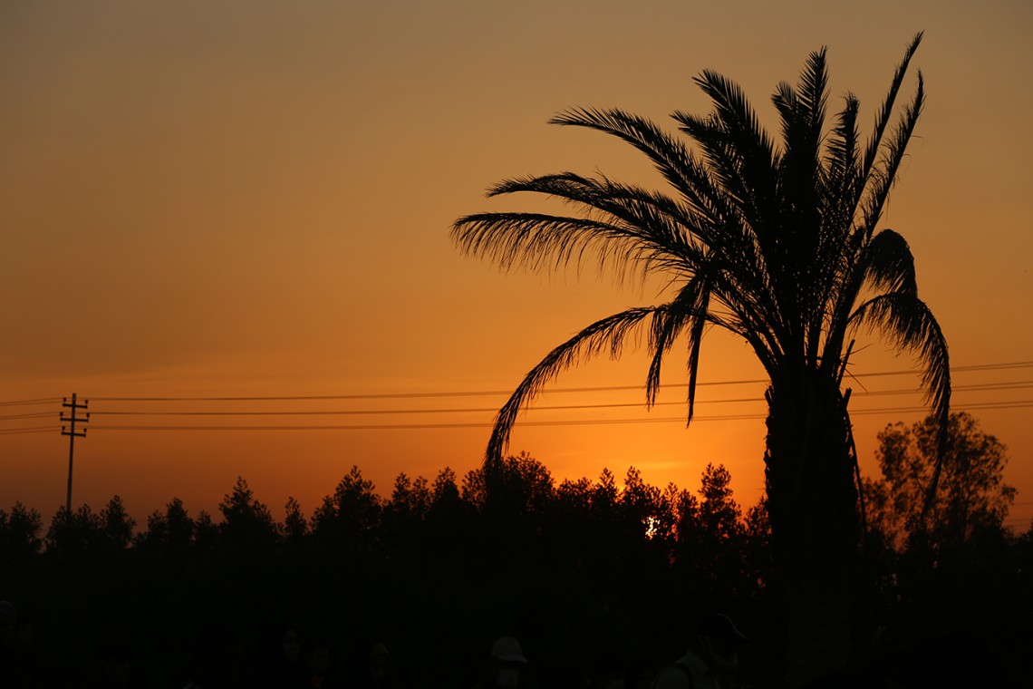 سوگواره چهارم-عکس 2-محمد امین محمودی-پیاده روی اربعین از نجف تا کربلا