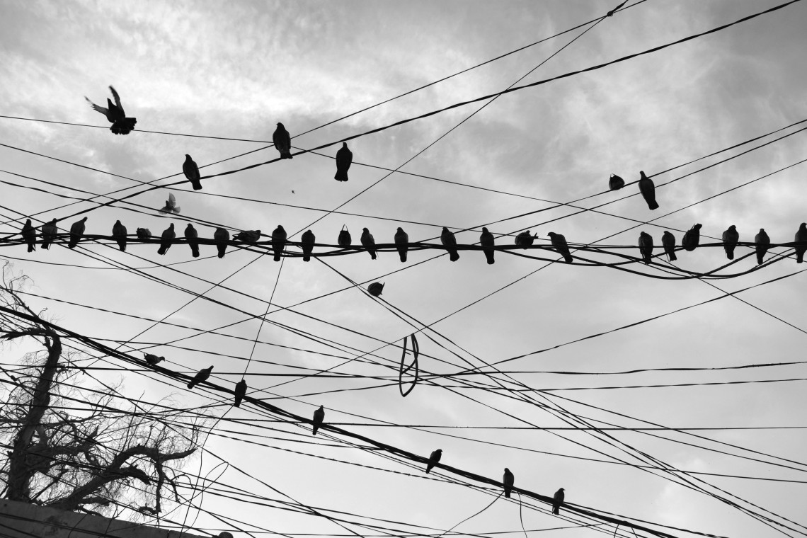 سوگواره پنجم-عکس 4-محمد حسین صادقی-پیاده روی اربعین از نجف تا کربلا