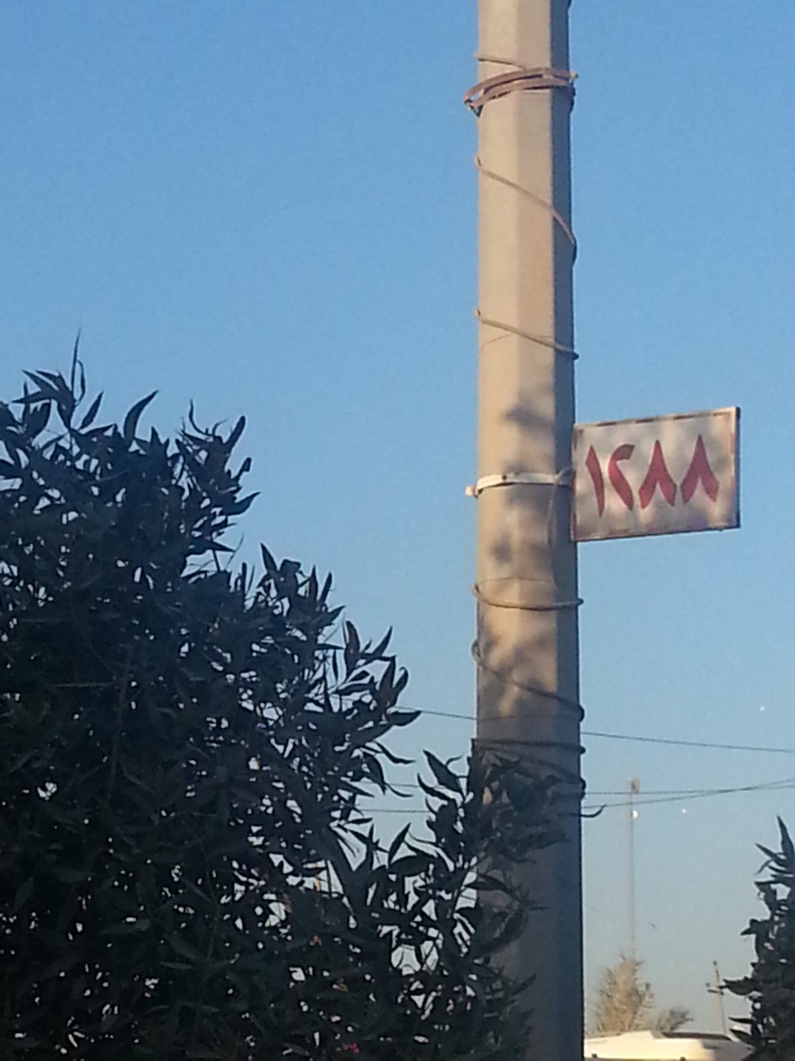 سوگواره دوم-عکس 11-حمیده کاظمی-پیاده روی اربعین از نجف تا کربلا