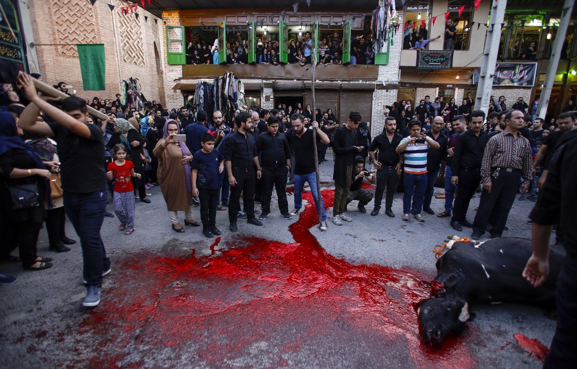 فراخوان ششمین سوگواره عاشورایی عکس هیأت-سیدرضا میرکاظمی-بخش اصلی -جلسه هیأت