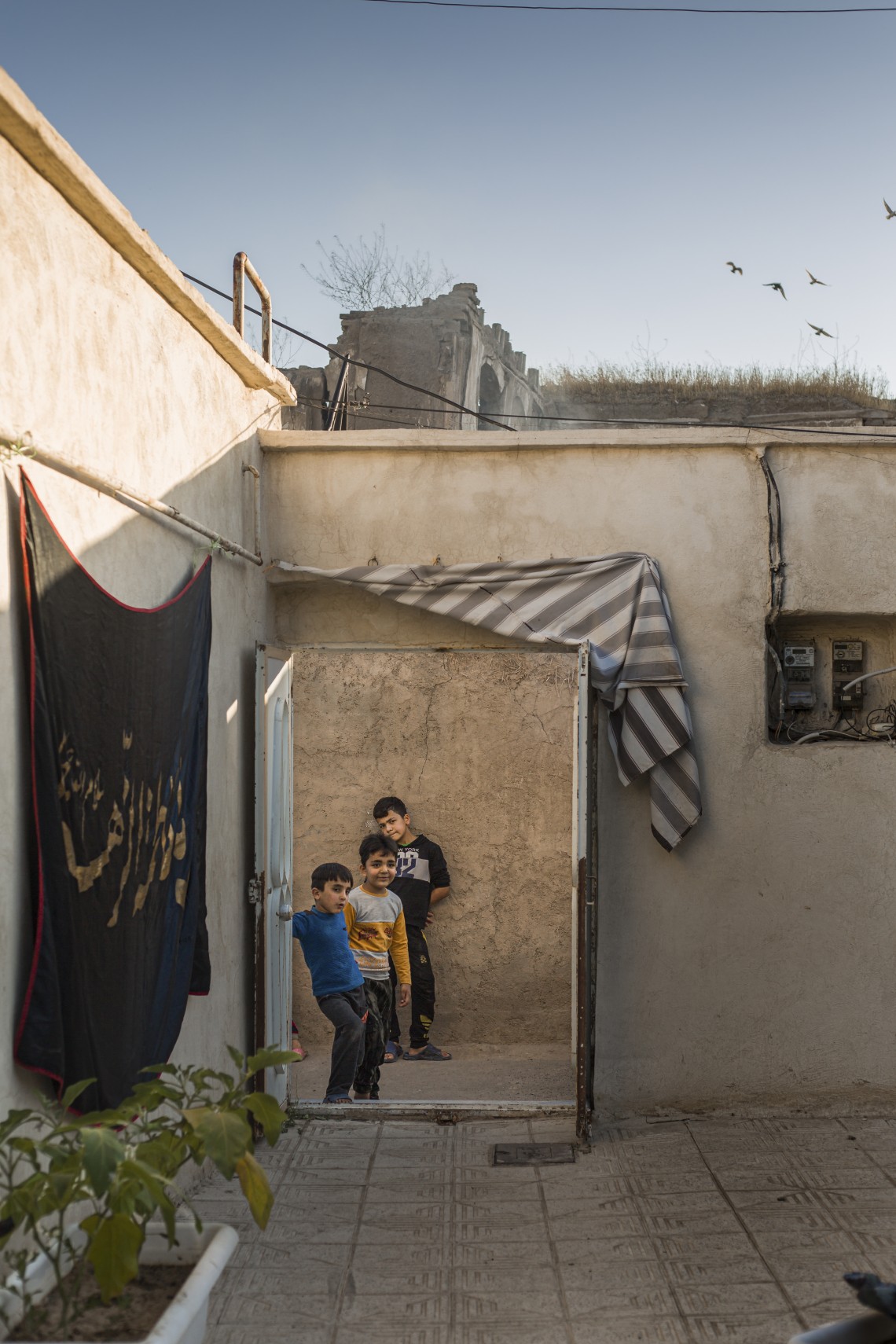 نهمین سوگواره عاشورایی عکس هیأت-پوریا ترابی-روایت هیأت