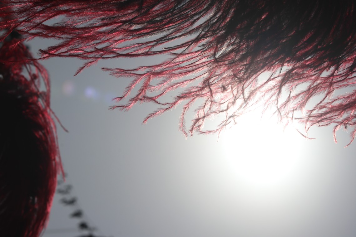 دهمین سوگواره عاشورایی عکس هیأت-محمدمهدی  انتظار-مجالس احیای امراهل‌البیت علیهم‌السلام تک عکس-دوربین دیجیتال