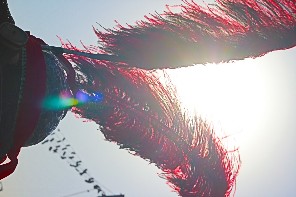 دهمین سوگواره عاشورایی عکس هیأت-محمدمهدی  انتظار-مجالس احیای امراهل‌البیت علیهم‌السلام تک عکس-دوربین دیجیتال